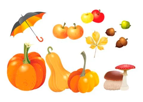 Set of autumn objects. Pumpkins different types, mushrooms, umbrella, apples Stock Illustration