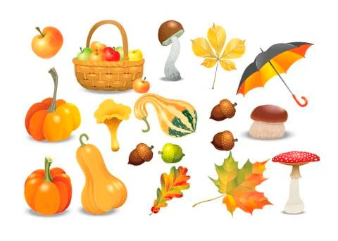 Set of autumn objects. Pumpkins different types, mushrooms, umbrella, apples Stock Illustration