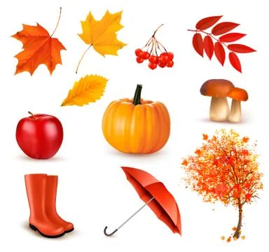 Set of autumn-themed objects. vector Stock Illustration