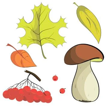 Set of autumn things. Illustrazione stock
