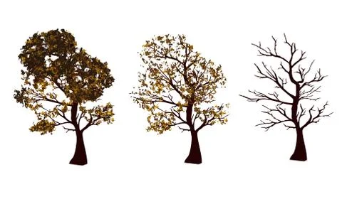 Set of autumn trees Stock Illustration