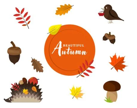 Set of autumn vector isolated elements. Stock Illustration