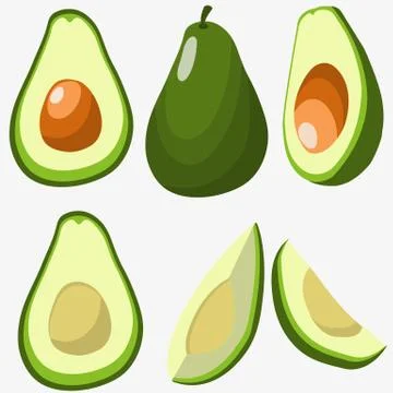 Set with avocado in different angles isolated on white Stock Illustration