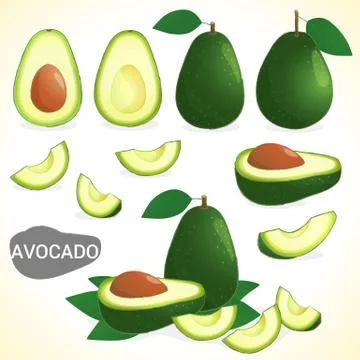 Set of avocado fruit in various styles vector format Stock Illustration