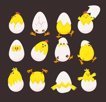 Set of Baby Chick Hatching From Egg, Cute little chick in cracked egg,break.. Stock Illustration