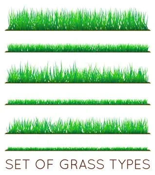 Set of Backgrounds Of Green Grass, Isolated On White Background, Vector Illus Stock Illustration