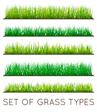 Set of Backgrounds Of Green Grass, Isolated On White Background, Vector Illus Stock Illustration