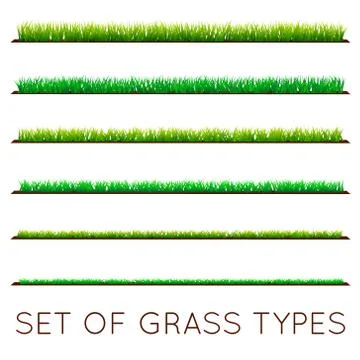 Set of Backgrounds Of Green Grass, Isolated On White Background, Vector Illus Illustrazione stock