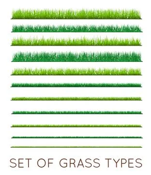 Set of Backgrounds Of Green Grass, Isolated On White Background, Vector Illus Stock Illustration