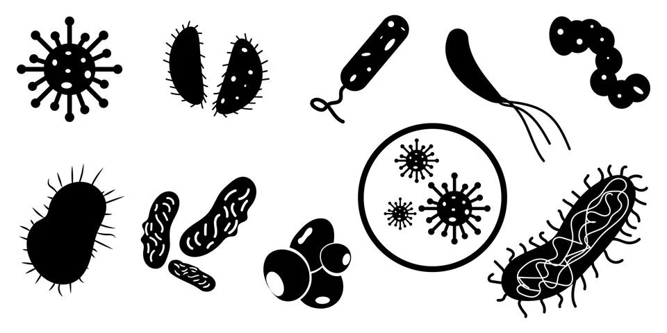 Set of bacteria icon. Bacteria, microbes signs Stock Illustration