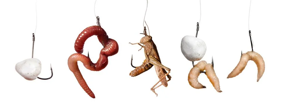 Set of baits on the hook isolated on white background Stock Photos