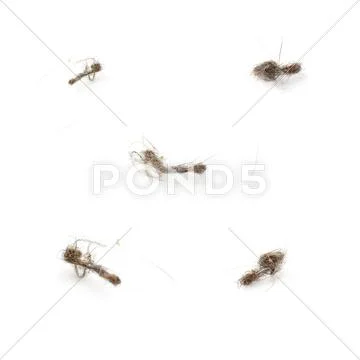 Set of Ball dust isolated over the white background, macro Stock Photos