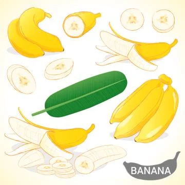 Set of banana in various styles vector format Stock Illustration