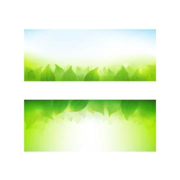 Set of banner gradient green background element with transparency leaf for ec Stock Illustration