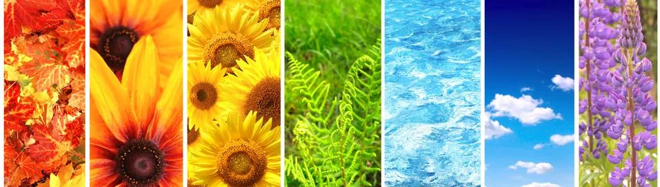 Set of banner with nature elements Stock Photos