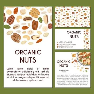 Set of banner template with nuts and seeds. Kitchen, cooking print and banner Stock Illustration