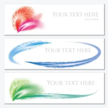 Set of banners with feathers. Vector Stock Illustration