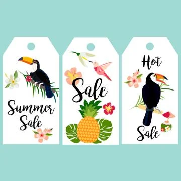 Set of banners with Hawaiian elements and toucans Stock Illustration