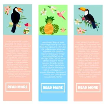 Set of banners with Hawaiian elements and toucans Illustrazione stock