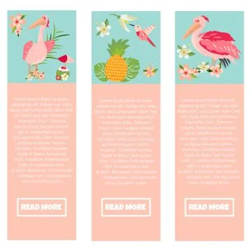 Set of banners with Hawaiian elements and pelicans Stock Illustration