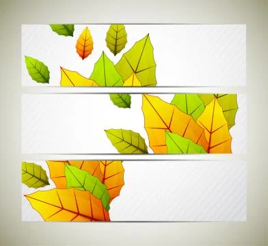 Set of banners with leaves Stock Illustration