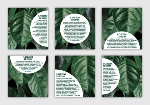 Set of banners with space for text with eco-friendly natural photo Stock Illustration
