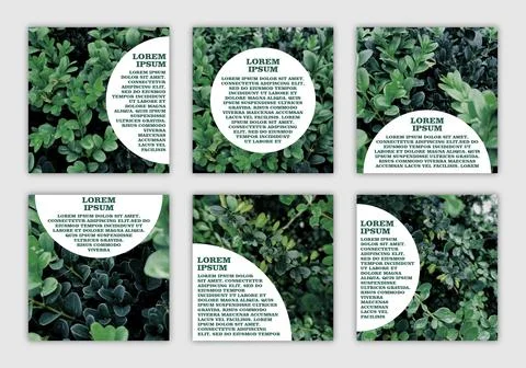 Set of banners with space for text with eco-friendly natural photo Stock Illustration