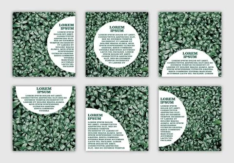 Set of banners with space for text with eco-friendly natural photo Stock Illustration