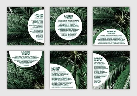 Set of banners with space for text with eco-friendly natural photo Stock Illustration