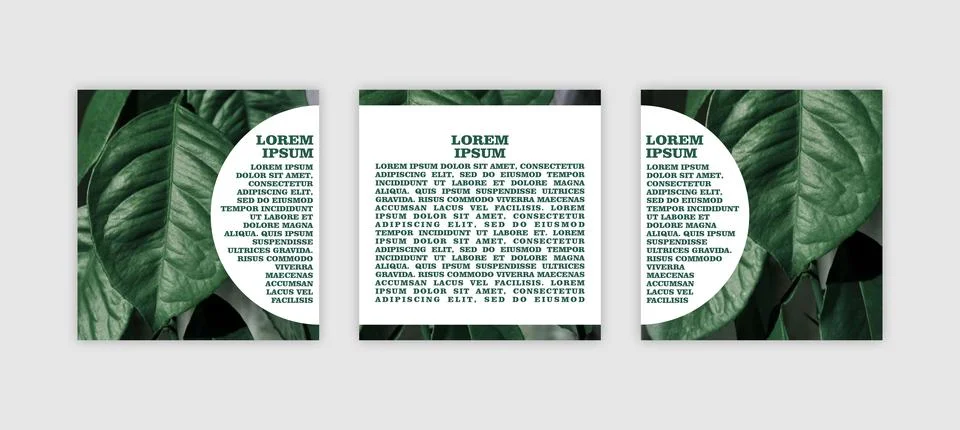 Set of banners with space for text with eco-friendly natural photo Stock Illustration