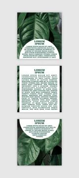 Set of banners with space for text with eco-friendly natural photo Stock Illustration