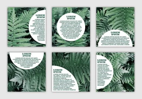Set of banners with space for text with natural photoes Stock Illustration