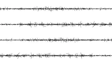 Set of barbed wire frame, a black and white image of a tree with branches Stock Illustration