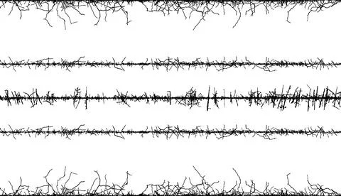Set of barbed wire frame, a black and white image of a tree with branches Stock Illustration