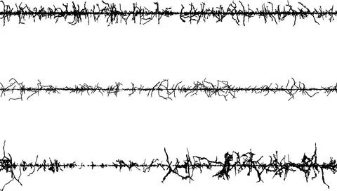 Set of barbed wire frame, a black and white image of a tree with branches Stock-Illustration