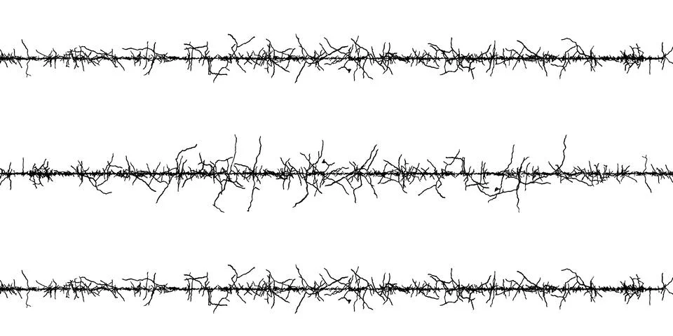 A set barbed wire with a line, Barbed wire with barbed wire against Stock Illustration