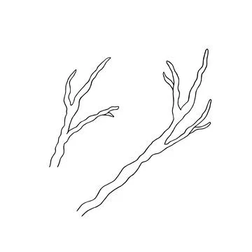 Set of bare branches. Hand drawn vector image Stock Illustration