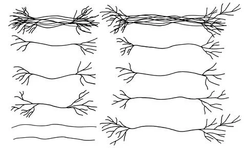 Set of bare branches of tree in hand drawn style. Vector illustration Stockillustratie