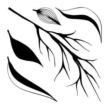 Set of bare tree branch with leaves doodle graphic. Green foliage. Herbal lea Stock Illustration
