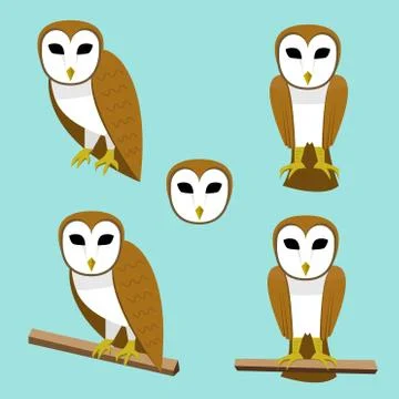 Set of Barn owl on branch in flat style Stock Illustration