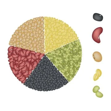 Set of Beans in Pie Chart Concept Illustrazione stock