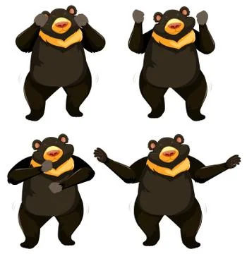A set of bear shmoney dance Stock Illustration