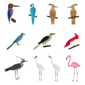 Set of beautiful birds イラスト素材