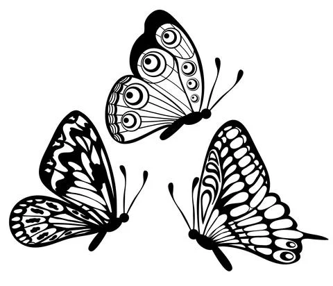 Set of Beautiful black and white butterfly isolated on white Stock Illustration