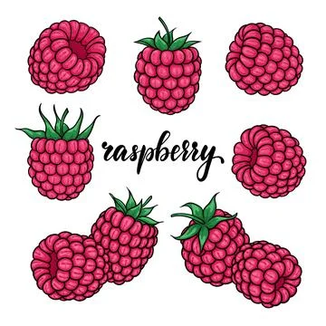 Set of Beautiful cartoon pink raspberry with black contour, symbol of summe.. Illustrazione stock