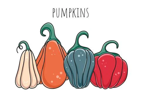 Set beautiful colored pumpkins vector illustration Ilustración de archivo