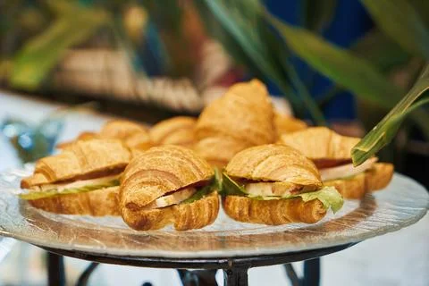 A set of beautiful snacks on the table. The buffet is on the table. Catering Stock Photos