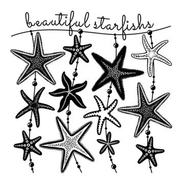 Set beautiful starfishs Stock Illustration