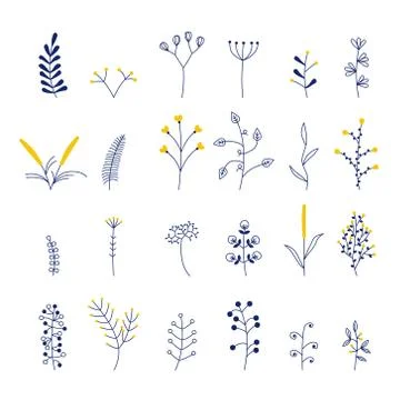 Set of beautiful vector flowers Stock Illustration