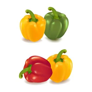 Set of Beautiful vegetable chilies vector illustration Design Stock Illustration